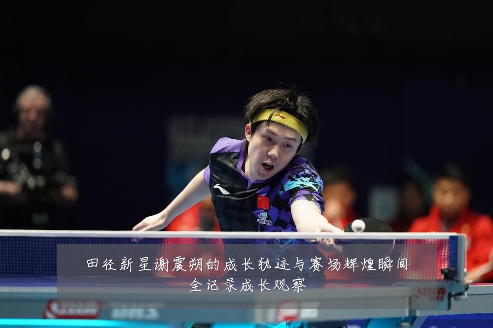 田径新星谢震朔的成长轨迹与赛场辉煌瞬间全记录成长观察