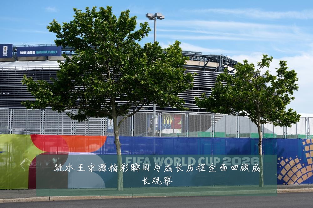 跳水王宗源精彩瞬间与成长历程全面回顾成长观察
